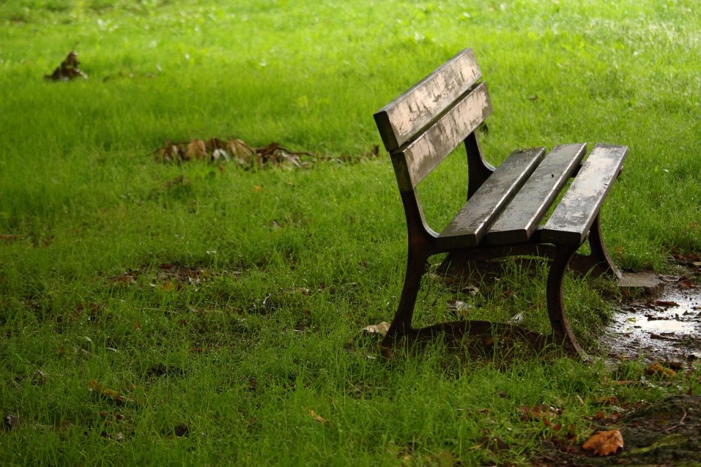 pooling water on a lawn next to a bench
