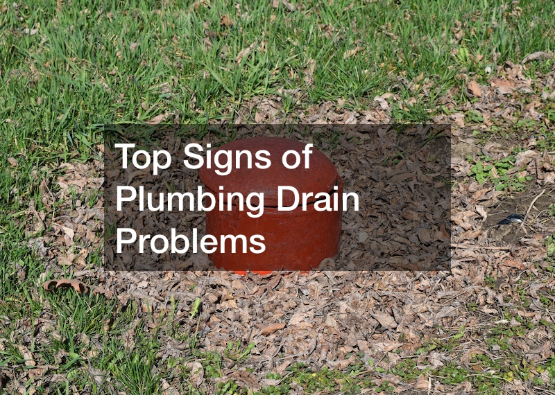 Top Signs of Plumbing Drain Problems