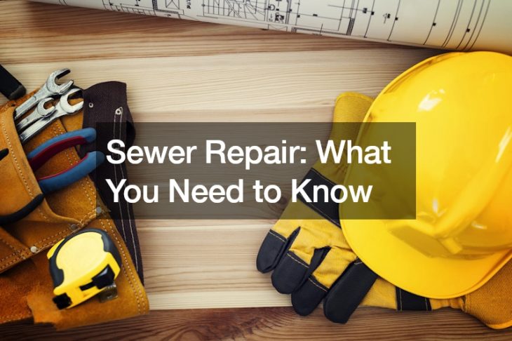 Sewer Repair  What You Need to Know