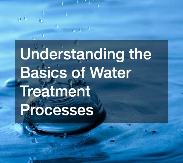 Understanding the Basics of Water Treatment Processes