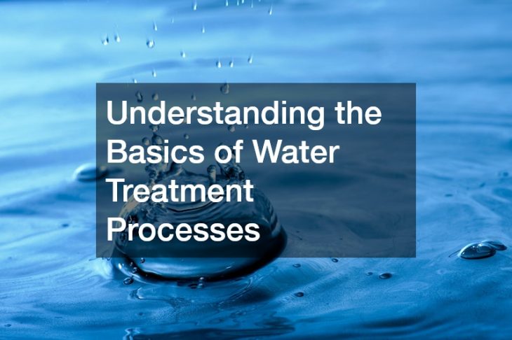 Understanding the Basics of Water Treatment Processes