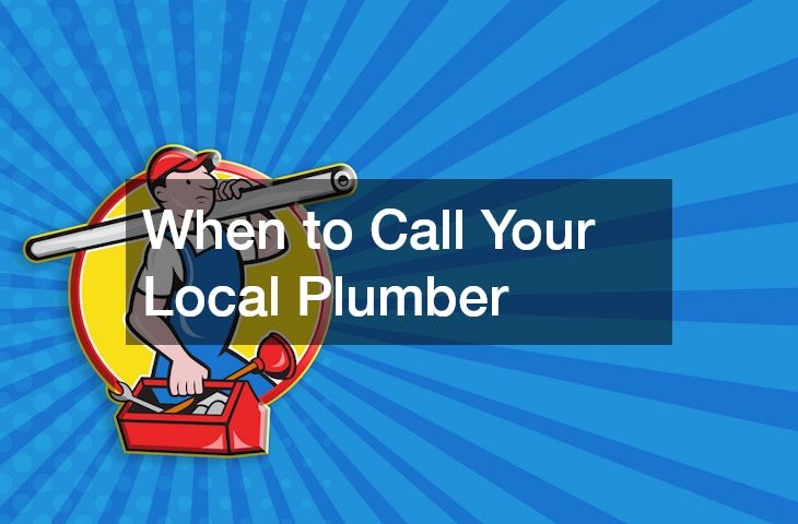 When to Call Your Local Plumber