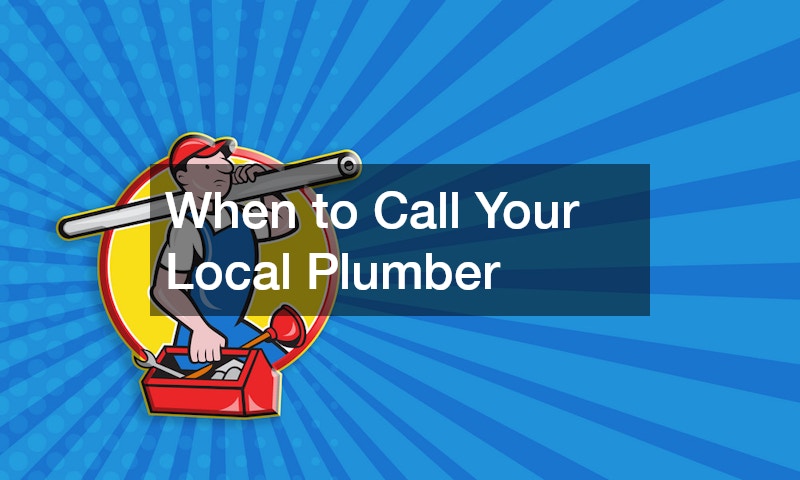 When to Call Your Local Plumber