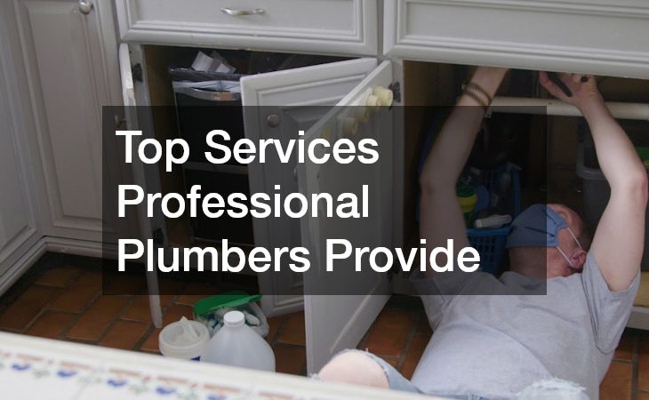 Top Services Professional Plumbers Provide