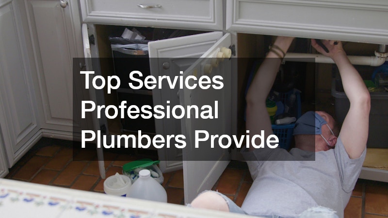 Top Services Professional Plumbers Provide