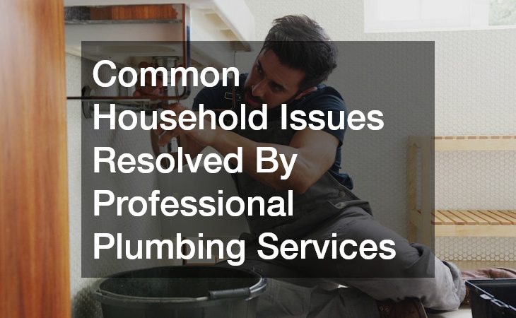 Common Household Issues Resolved By Professional Plumbing Services