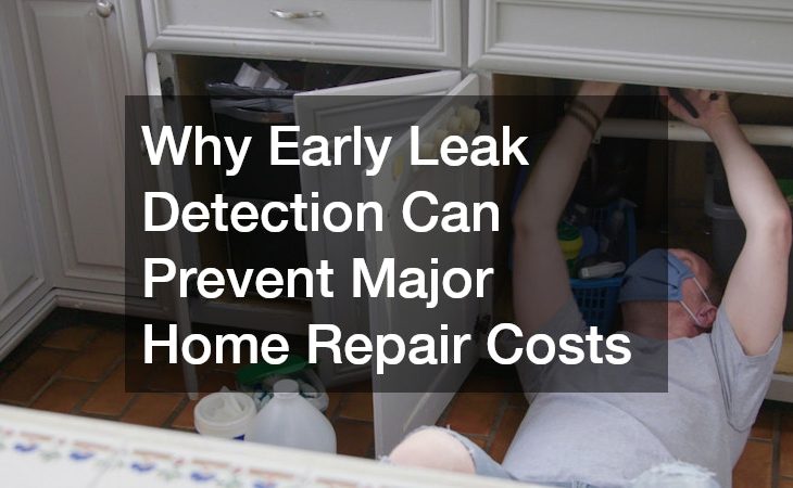 Why Early Leak Detection Can Prevent Major Home Repair Costs