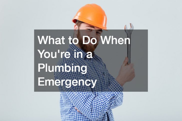 What to Do When Youre in a Plumbing Emergency
